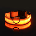 LED Glow Dog Leash — Night Safety, USB Rechargeable