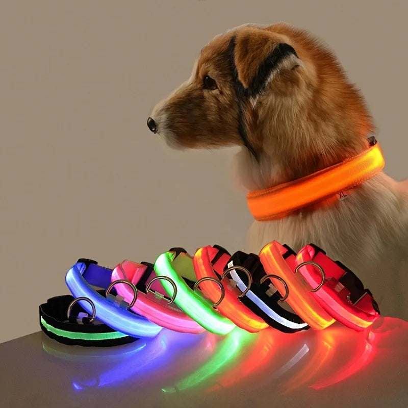 LED Glow Dog Leash — Night Safety, USB Rechargeable