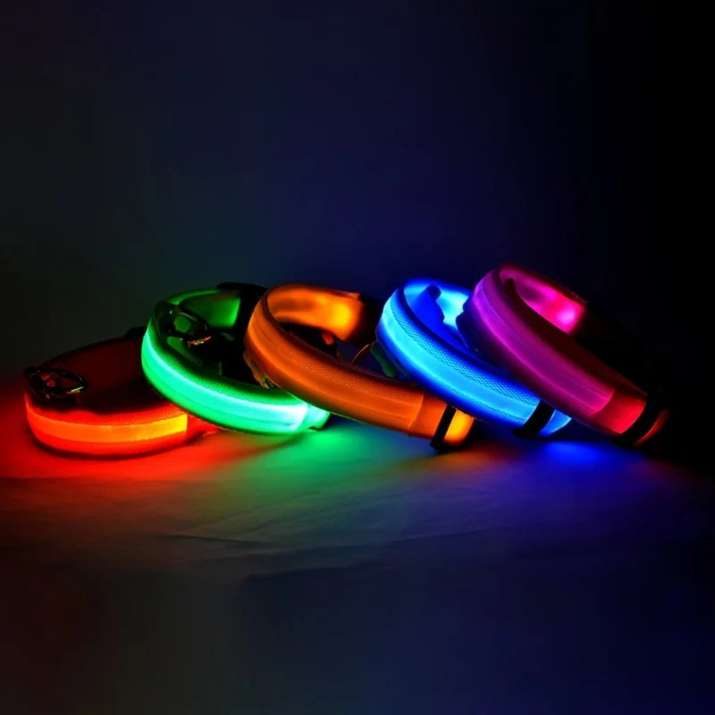 LED Glow Dog Leash — Night Safety, USB Rechargeable