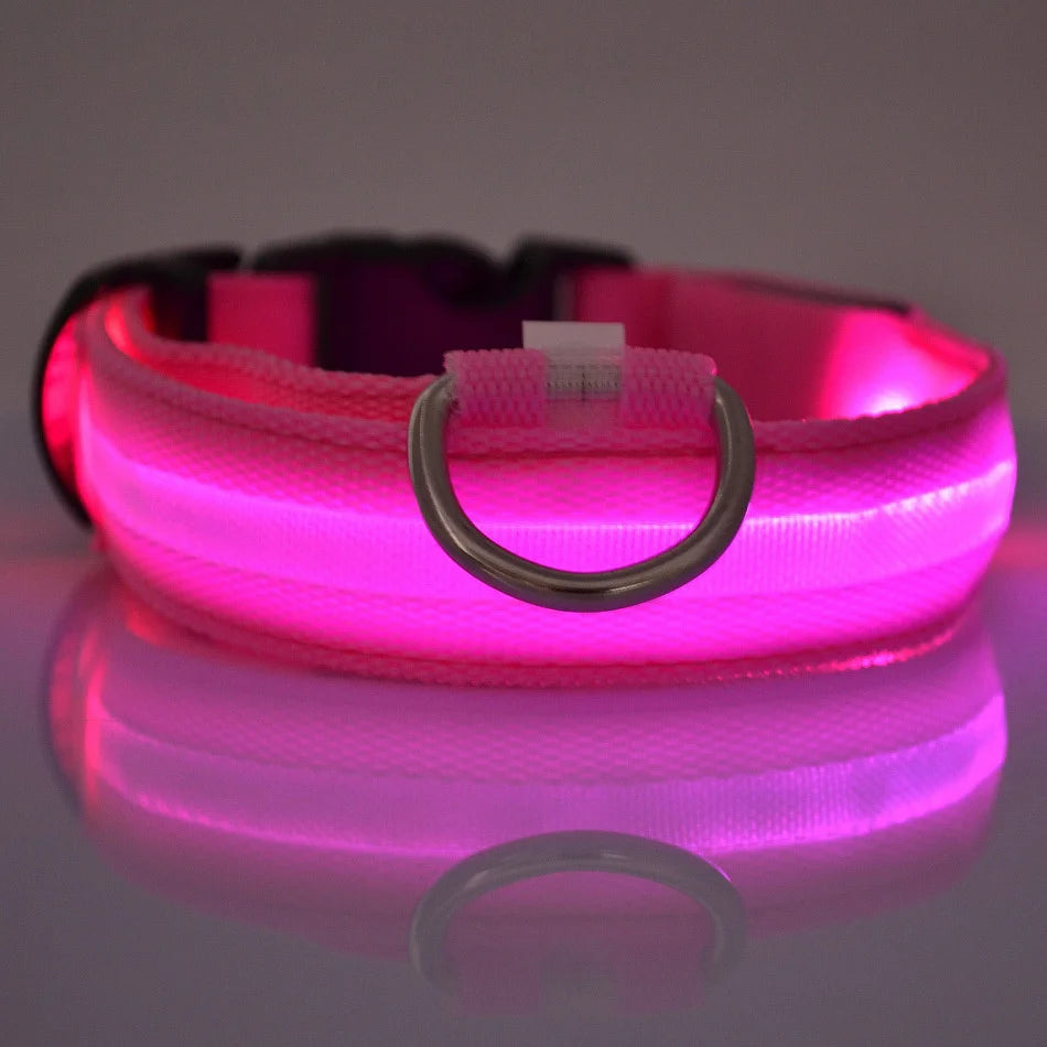 LED Glow Dog Leash — Night Safety, USB Rechargeable
