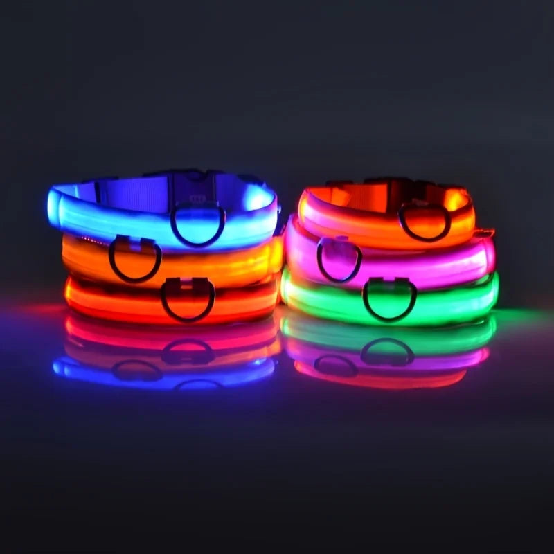 LED Glow Dog Leash — Night Safety, USB Rechargeable