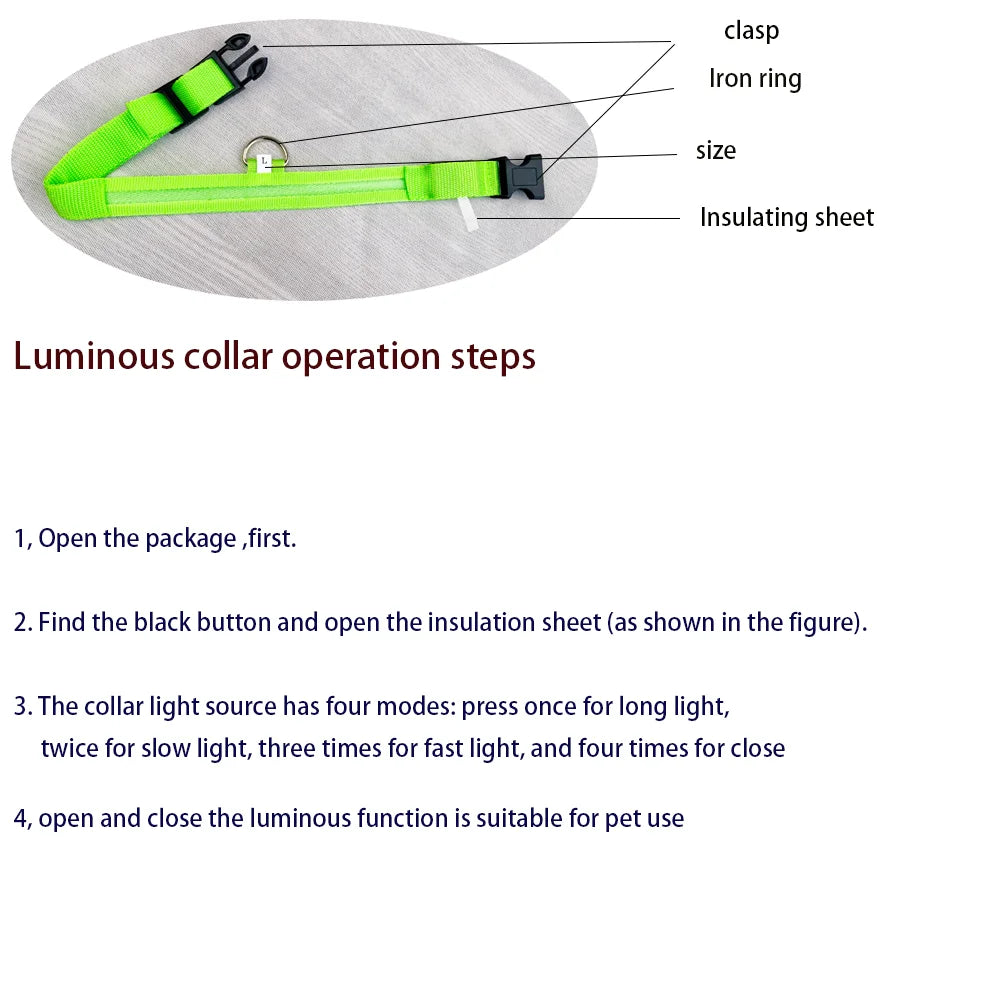 LED Glow Dog Leash — Night Safety, USB Rechargeable