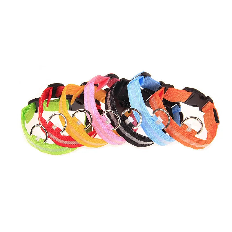 LED Glow Dog Leash — Night Safety, USB Rechargeable